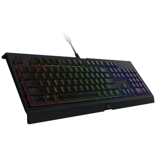 Razer Cynosa V2 Clavier Gamer (8886419344414) (RZ03-02260500-R3F1)