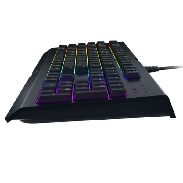 Razer Cynosa V2 Clavier Gamer (8886419344414) (RZ03-02260500-R3F1)