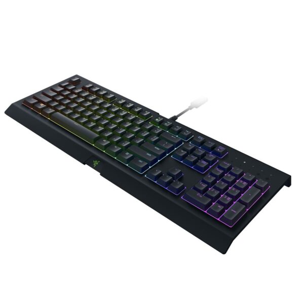 Razer Cynosa V2 Clavier Gamer (8886419344414) (RZ03-02260500-R3F1)